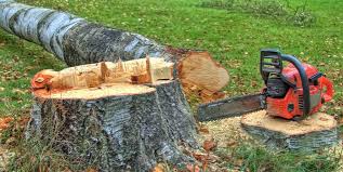 Best Firewood Processing and Delivery  in Kgsford Heights, IN